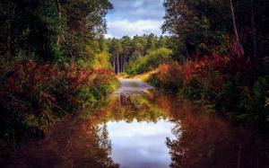 Nature scenery, autumn, road, forest, trees, water, puddle wallpaper thumb