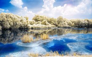 River Forest Nature wallpaper thumb