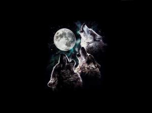 3 wolf moon howling Moon Night sky stars three trio wolves HD wallpaper thumb