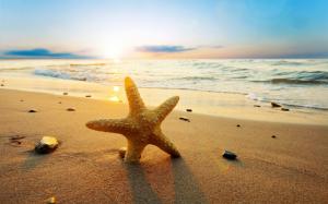 Starfish at sunset beach, sea, sun wallpaper thumb