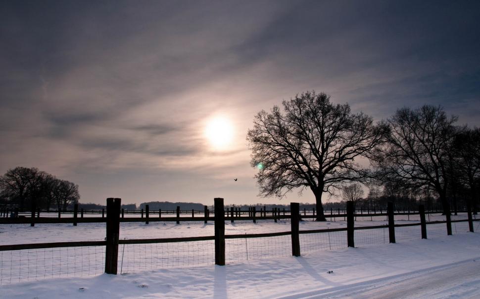 Snow, Fence, Nature, Winter, Trees wallpaper,snow HD wallpaper,fence HD wallpaper,nature HD wallpaper,winter HD wallpaper,trees HD wallpaper,1920x1200 wallpaper
