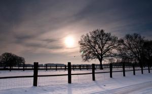 Snow, Fence, Nature, Winter, Trees wallpaper thumb