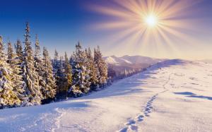 Winter, snow, forest, trails, mountains, sky, sun wallpaper thumb