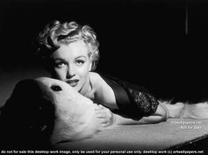 Marilyn Monroe Poster Images wallpaper thumb