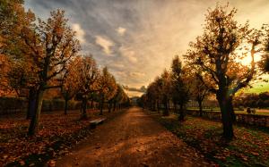 Park, path, bench, trees, autumn, dusk wallpaper thumb