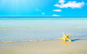 starfish, sand, beach, sea, foam, landscape wallpaper thumb