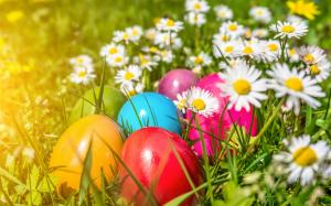 Easter, colorful eggs, flowers, daisies wallpaper thumb