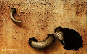 Dangerous Snake wallpaper thumb