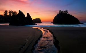 Coast, beach, sea, dusk, night, waves, rocks, trees, sunset wallpaper thumb