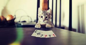 Kitten play poker wallpaper thumb