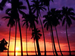 Sunset Spectacular HD wallpaper thumb