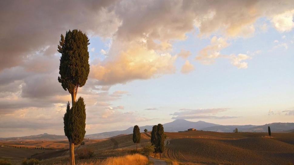 Orcia Valley In Summer Tuscany wallpaper,trees HD wallpaper,valley HD wallpaper,road HD wallpaper,clouds HD wallpaper,nature & landscapes HD wallpaper,1920x1080 wallpaper