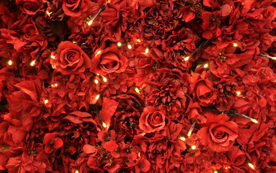 Red Roses Lights wallpaper,roses HD wallpaper,lights HD wallpaper,flowers HD wallpaper,2560x1600 wallpaper