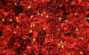 Red Roses Lights wallpaper thumb