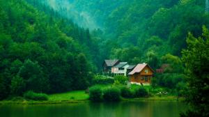 Forest, trees, shrubs, houses, streams, green natural scenery wallpaper thumb