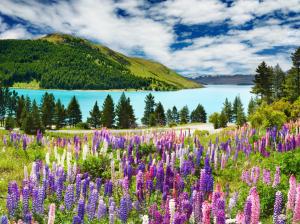 Lavender, mountains, lake, clouds wallpaper thumb