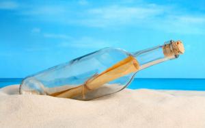 Bottle In The Sand  Widescreen wallpaper thumb