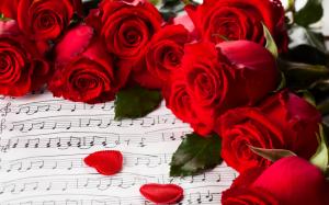 Flowers, red roses, Valentine's Day, music wallpaper thumb