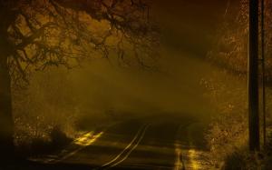 road, night, fog, marking wallpaper thumb