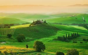 Italy, Tuscany, fields wallpaper thumb