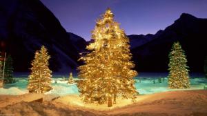 Christmas Trees In A Winter Valley wallpaper thumb