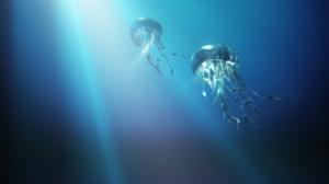 Jellyfish Underwater Blue Sunlight HD wallpaper thumb