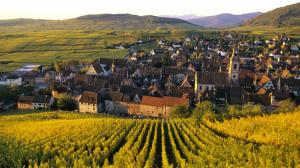 Vineyard Buildings Field Alsace Town HD wallpaper thumb