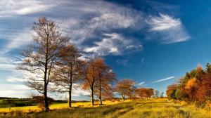 Autumn, trees, grass, sky, clouds wallpaper thumb