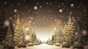 Christmas Trees in Snow HD wallpaper thumb