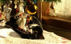 Cat Under A Christmas Tree wallpaper thumb