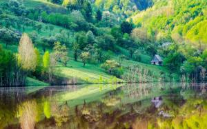 Mountain slope, trees, house, lake, water reflection, spring scenery wallpaper thumb
