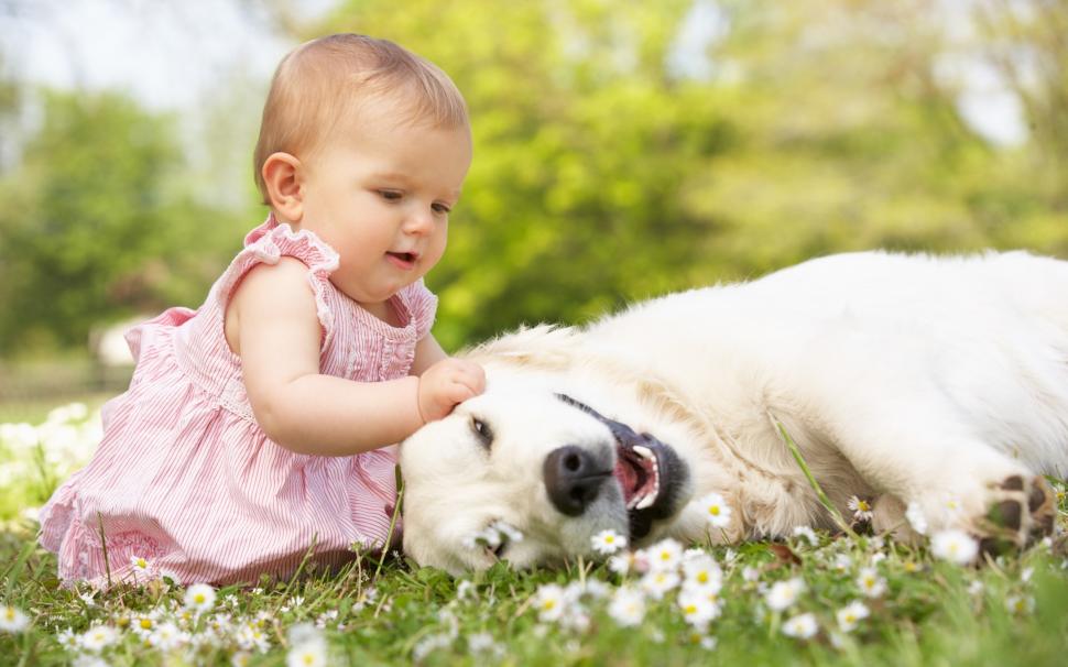 Cute Little Girl Playing With Dog wallpaper,baby HD wallpaper,dog HD wallpaper,grass HD wallpaper,flowers HD wallpaper,2880x1800 wallpaper