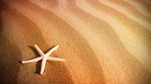 Starfish and Sand wallpaper thumb