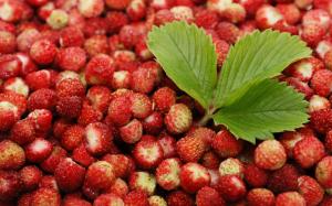 Red berries, strawberries, green leaves wallpaper thumb
