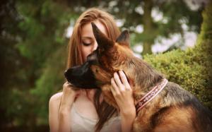 German Shepherd Dog with girl wallpaper thumb