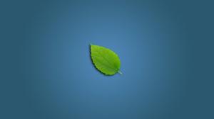 Leaf Blue Minimal HD wallpaper thumb