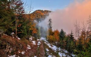 Autumn, mountain, footpath, snow, forest, trees, fog, dawn wallpaper thumb