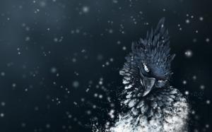 Bird Crow Snow HD wallpaper thumb