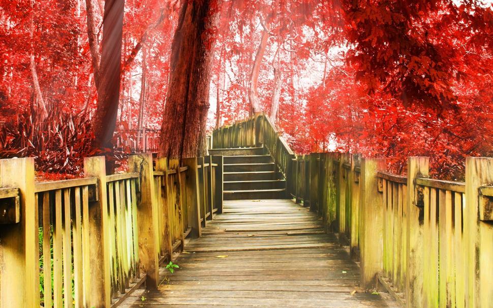 Autumn park, walkway, stairs, trees, red leaves wallpaper,Autumn HD wallpaper,Park HD wallpaper,Walkway HD wallpaper,Stairs HD wallpaper,Trees HD wallpaper,Red HD wallpaper,Leaves HD wallpaper,1920x1200 wallpaper
