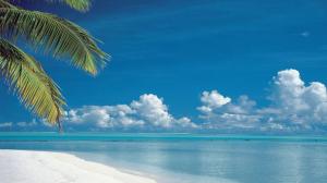 Paradise Beach, Sea, Water, Blue Sky, Clouds, Tree wallpaper thumb