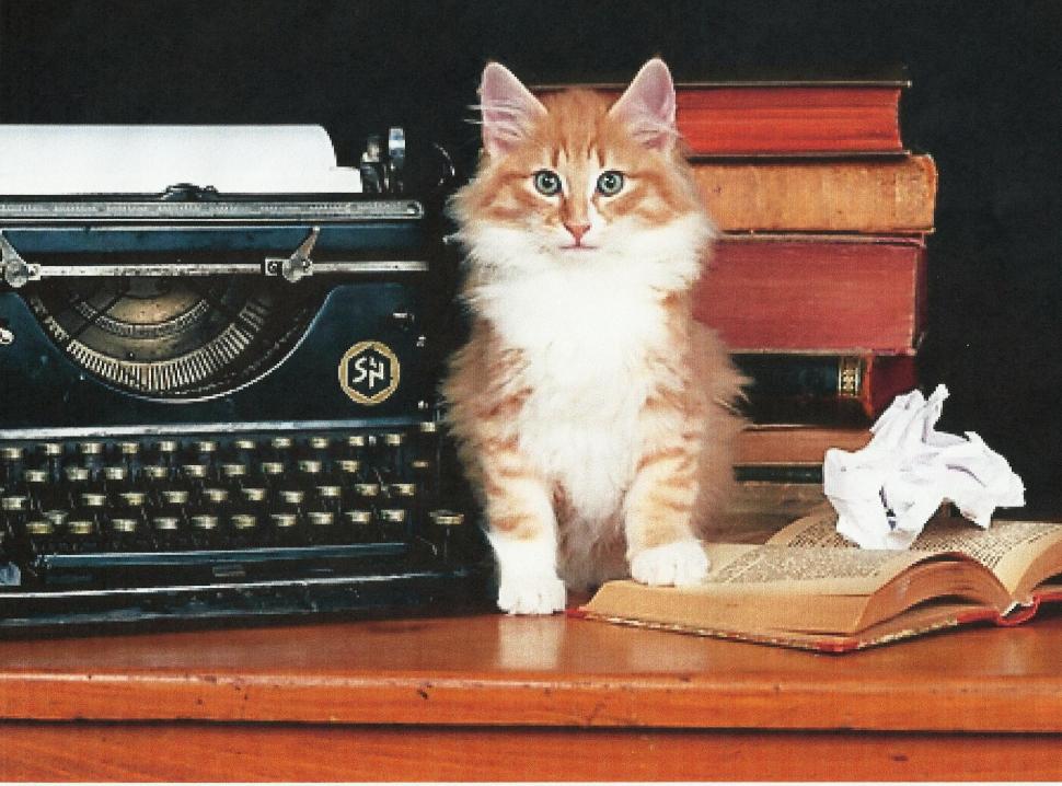 I Have To Study Now wallpaper,typewriter HD wallpaper,feline HD wallpaper,kitten HD wallpaper,norwegian forest HD wallpaper,books HD wallpaper,animals HD wallpaper,1982x1468 wallpaper