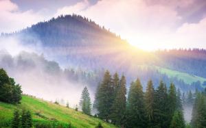 Beautiful morning nature, mountains, fog, dawn, trees, sun rays wallpaper thumb