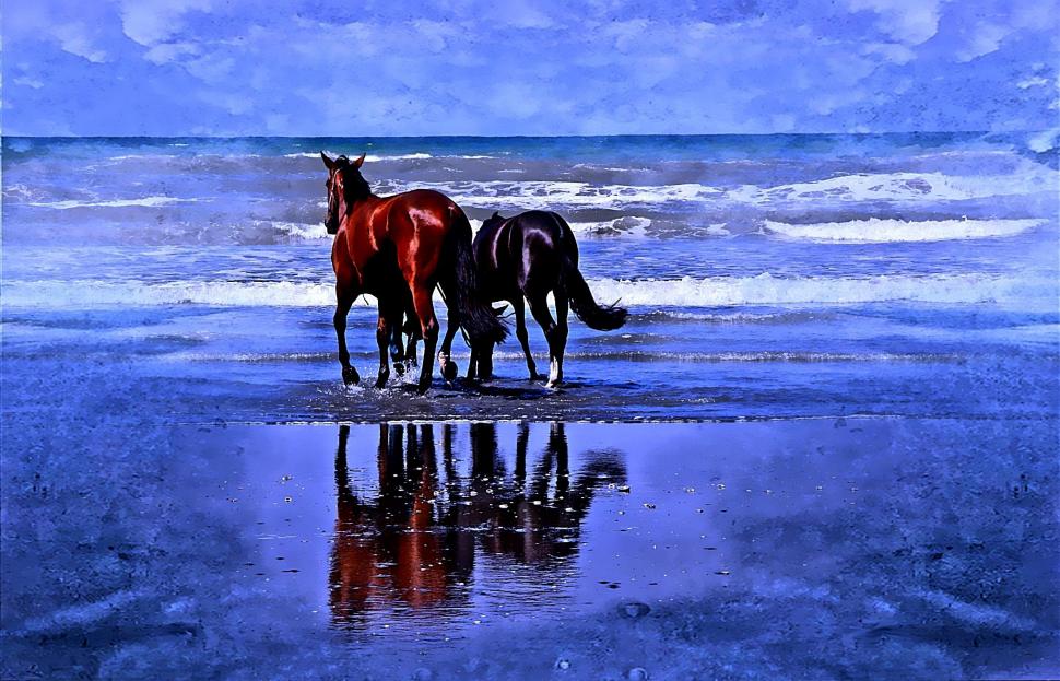Loving Couple At Beaches wallpaper,wave HD wallpaper,beaches HD wallpaper,reflection HD wallpaper,horses HD wallpaper,ocean HD wallpaper,blue HD wallpaper,animals HD wallpaper,2100x1350 wallpaper