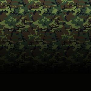 Camouflage, Art, Abstract, Army, Different Shapes wallpaper thumb