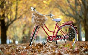 Street bike, autumn, leaves wallpaper thumb