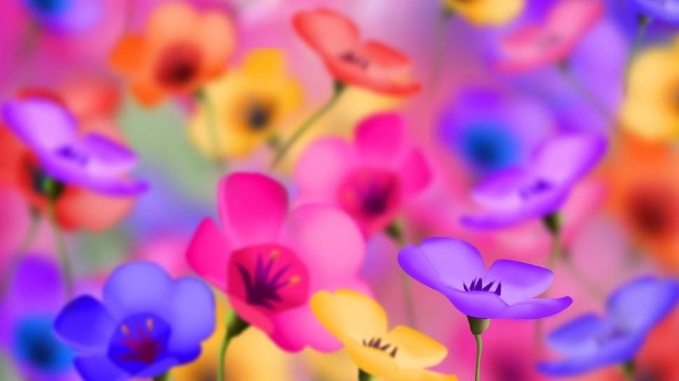 Flower Colorful wallpaper,colorful HD wallpaper,flower HD wallpaper,1920x1080 wallpaper