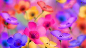 Flower Colorful wallpaper thumb