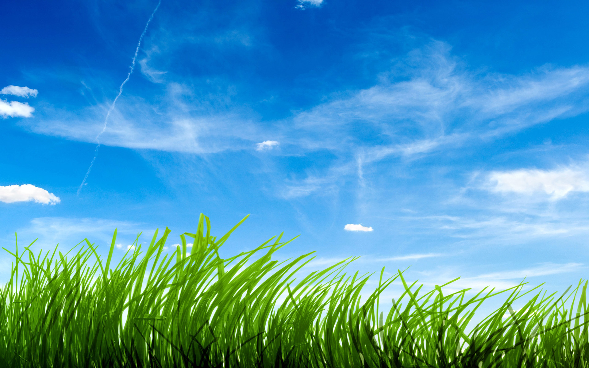 Blue Sky Green Grass HD wallpaper | nature and landscape | Wallpaper Better