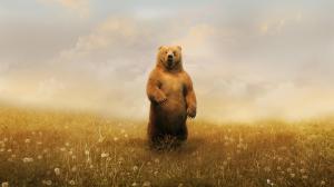 Grizzly Bear Bear HD wallpaper thumb