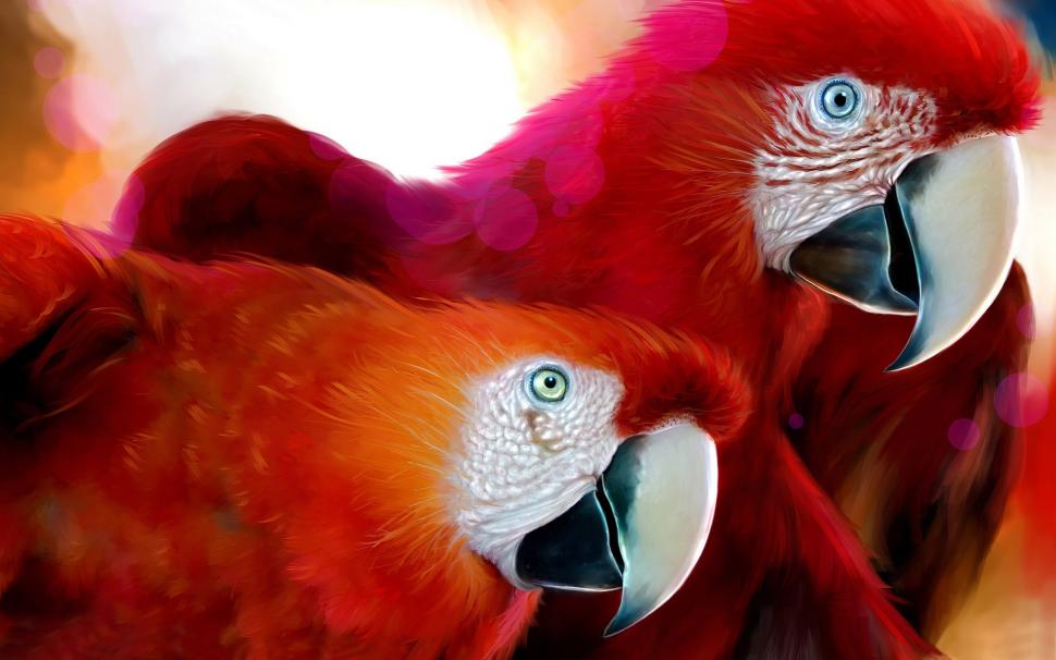A pair of red parrot wallpaper,Parrot HD wallpaper,Red HD wallpaper,Birds HD wallpaper,1920x1200 wallpaper